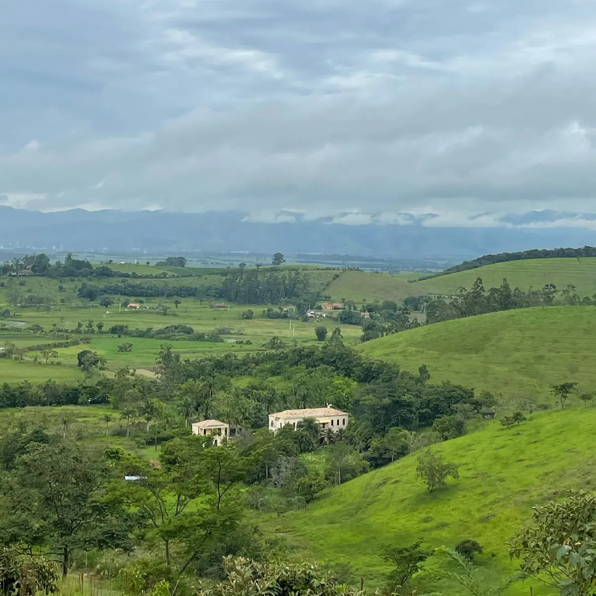 Natureza da Fazenda Neuchatel no Vale do Paraíba
