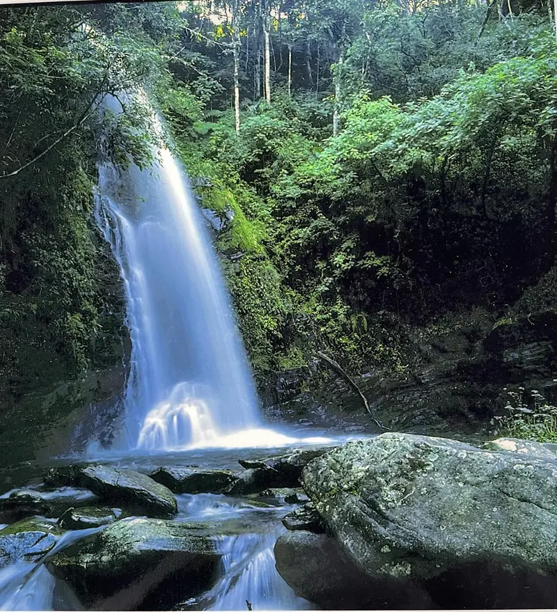 Cachoeira em meio à mata na Fazenda Neuchatel